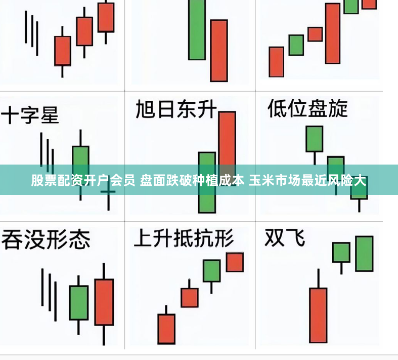 股票配资开户会员 盘面跌破种植成本 玉米市场最近风险大
