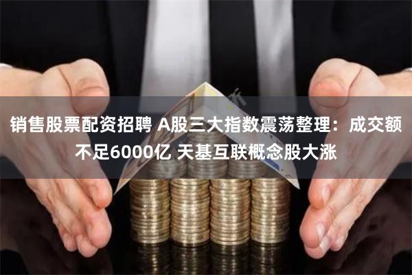 销售股票配资招聘 A股三大指数震荡整理：成交额不足6000亿 天基互联概念股大涨